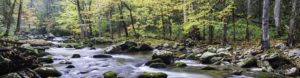 Little River Great-Smoky Mountains National Park