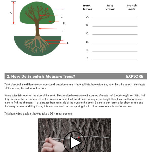 5E: Intro to Trees