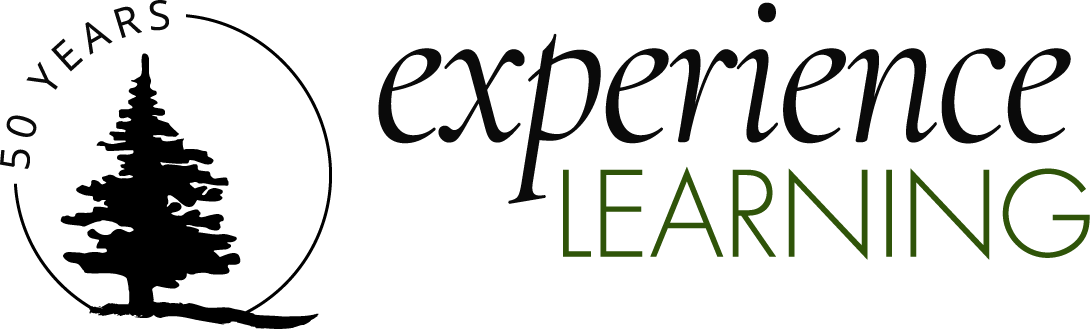 Experience Learning